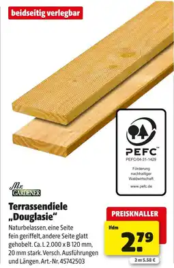 Hagebau Mr. gardener terrassendiele „douglasie“ Angebot