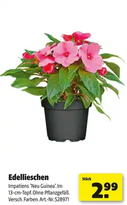 Hagebau Edellieschen Angebot