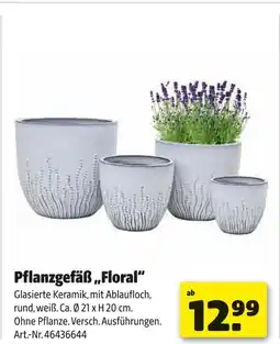 Hagebau Pflanzgefäß „floral“ Angebot