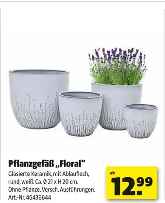 Hagebau Pflanzgefäß „floral“ Angebot