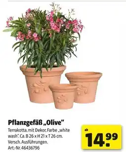 Hagebau Pflanzgefäß „olive“ Angebot