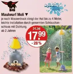 V Markt BIG Maulwurf Moli Angebot
