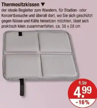 V Markt Thermositzkissen Angebot