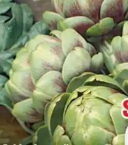 B1 Discount Baumarkt Artischocke-Pflanze Angebot