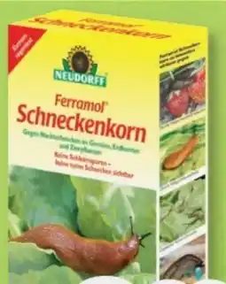 B1 Discount Baumarkt Neudorff Ferramol Schneckenkorn Angebot