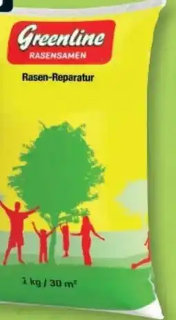 B1 Discount Baumarkt Greenline Rasensamen Rasenreparatur-Set Angebot