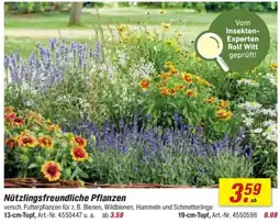 toom Baumarkt Nützlingsfreundliche Pflanzen Angebot