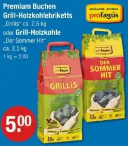 V Markt Profagus Premium Buchen Grill-Holzkohlebriketts oder Grill Holzkohle Angebot
