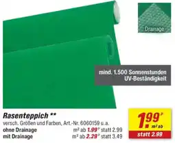 toom Baumarkt Rasenteppich Angebot