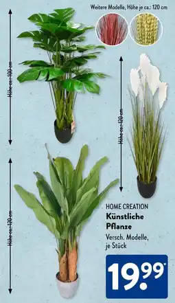 Aldi Süd HOME CREATION Künstliche Pflanze Angebot
