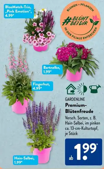 Aldi Süd GARDENLINE Premium- Blütenfreude Angebot