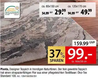 Zurbrüggen Planta Angebot