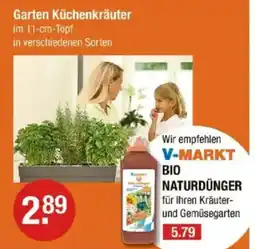 V Markt Garten Küchenkräuter Angebot