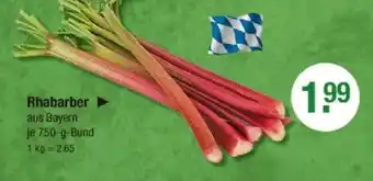 V Markt Rhabarber Angebot