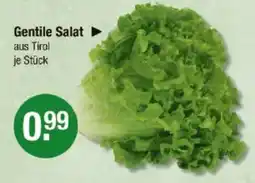 V Markt Gentile Salat Angebot