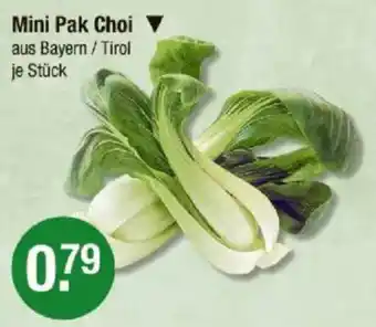 V Markt Mini Pak Choi Angebot