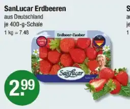 V Markt SanLucar Erdbeeren Angebot