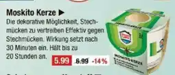 V Markt Moskito Kerze ▸ Angebot