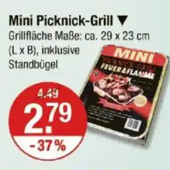 V Markt Mini Picknick-Grill Angebot