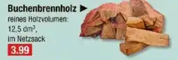 V Markt Buchenbrennholz Angebot