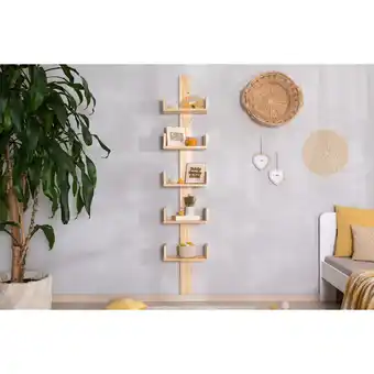 Netto Marken-Discount TiCAA Mehrzweckregal Pepe Kiefer Massiv Angebot