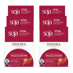 Netto Marken-Discount Shisara Tagescreme Vital 50 ml, 6er Pack Angebot
