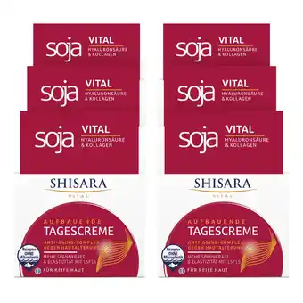 Netto Marken-Discount Shisara Tagescreme Vital 50 ml, 6er Pack Angebot