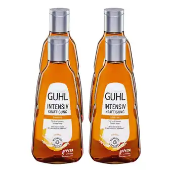 Netto Marken-Discount Guhl Shampoo Intensiv Kräftigung 250 ml, 4er Pack Angebot