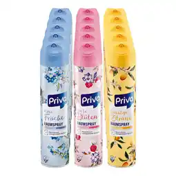 Netto Marken-Discount Priva Raumspray 300 ml, verschiedene Sorten, 15er Pack Angebot