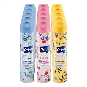 Netto Marken-Discount Priva Raumspray 300 ml, verschiedene Sorten, 15er Pack Angebot