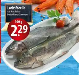 Famila Nord Ost Lachsforelle Angebot