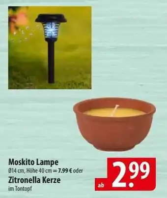 Famila Nord Ost Zitronella Kerze Angebot