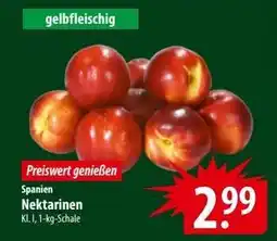 Famila Nord Ost Nektarinen Angebot