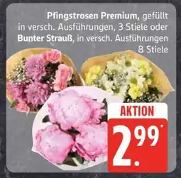 Edeka Pfingstrosen Premium oder Bunter Strauß Angebot