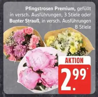 Edeka Pfingstrosen Premium oder Bunter Strauß Angebot