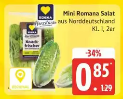 Edeka Mini- Romana- salat Angebot