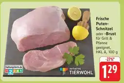 Edeka Frische Puten-Schnitzel oder -Brust Angebot