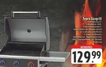 Edeka Tepro Gasgrill Angebot