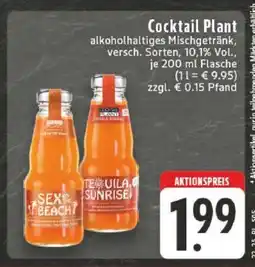 Edeka Cocktail Plant Angebot