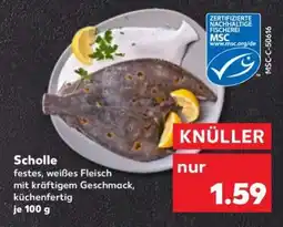 Kaufland Scholle Angebot