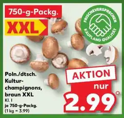 Kaufland Poln./dtsch. Kultur-champignons, braun XXL Angebot