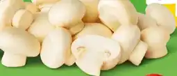 PENNY Marktliebe Champignons Angebot