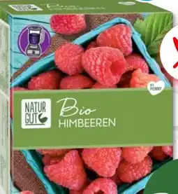 PENNY Naturgut Bio Himbeeren Angebot