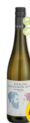 PENNY Spieß Adam & Eva Riesling Sauvignon blanc Angebot