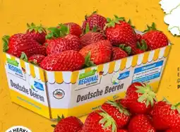 PENNY Marktliebe Regional Erdbeeren Angebot