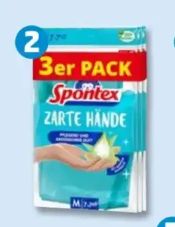 PENNY Spontex Haushaltshandschuhe Angebot