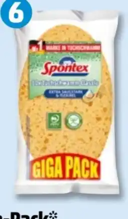 PENNY Spontex Tuchschwämme Angebot