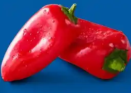 Lidl Mini-Paprika Angebot