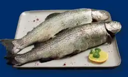 Lidl Fischerstolz Regenbogenforelle Angebot