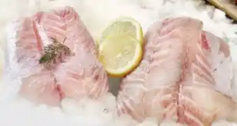 Edeka Viktoriaseebarschfilets Angebot